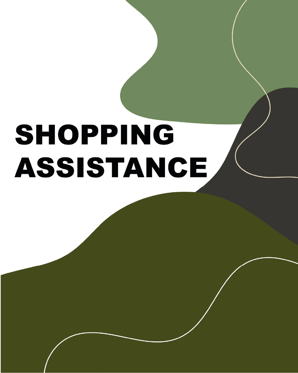 shopping assistance-100