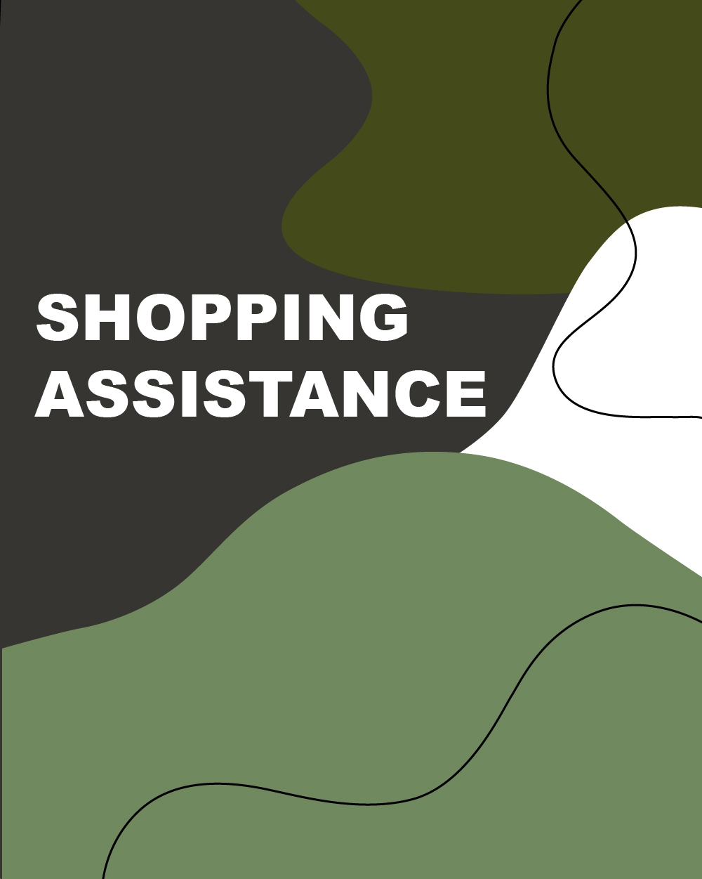 shopping assistance-hov-2-100